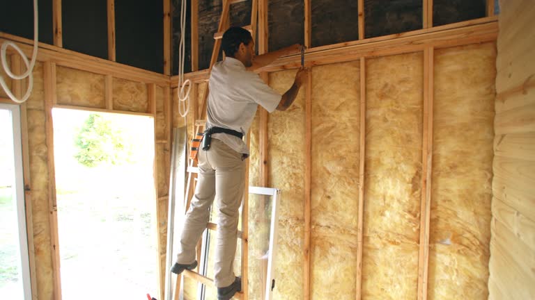 Best Blown-In Insulation  in Kemp, TX